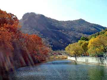 澳门精准正版免费大全14年新，祥芝灵